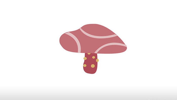 简约扁平画风食用菌类蘑菇食品mg动画