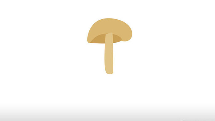 简约扁平画风食用菌类蘑菇食物mg动画