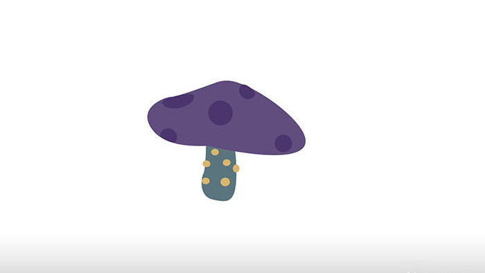 简约扁平画风食用菌类蘑菇紫色mg动画