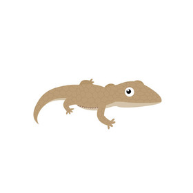 可爱卡通壁虎动图gif