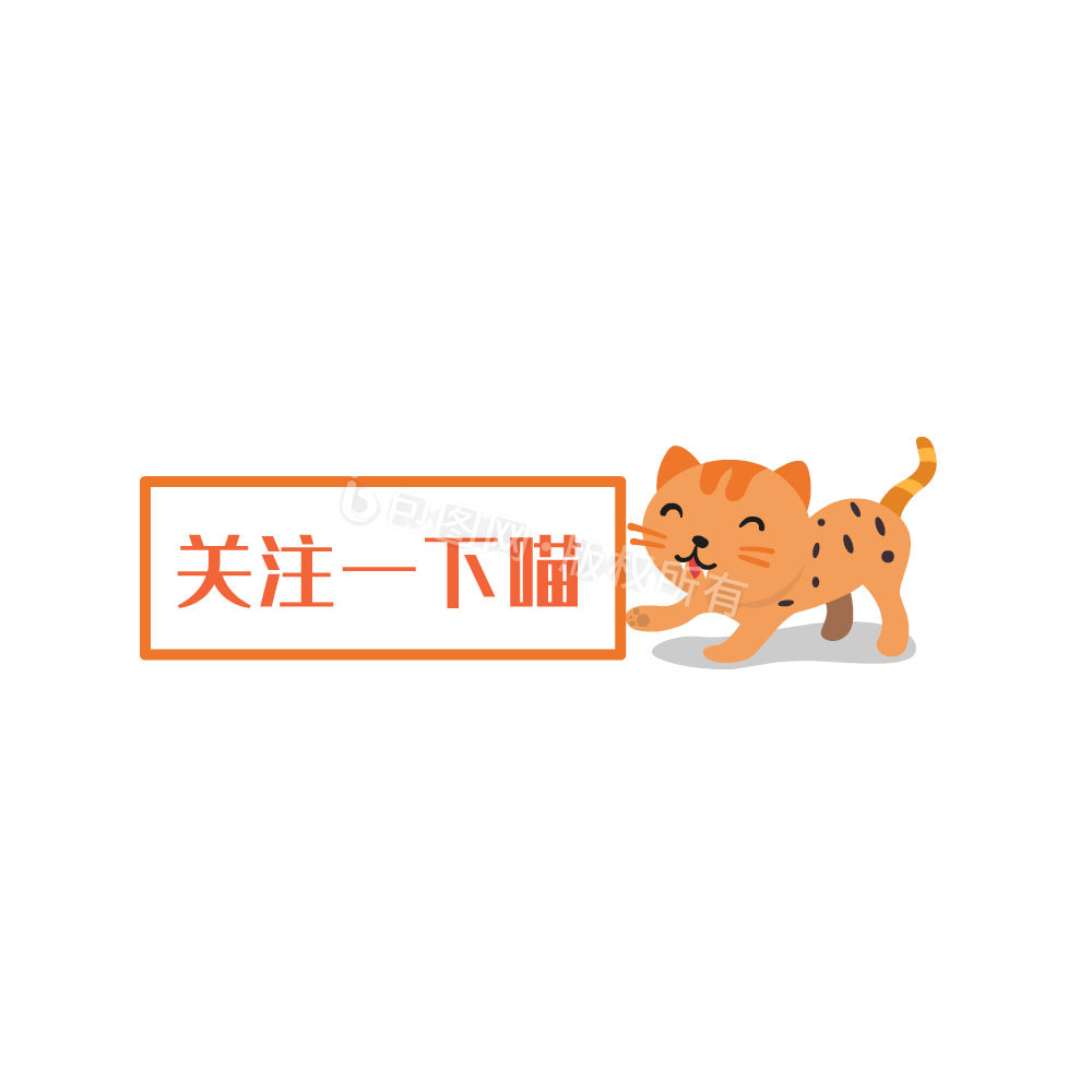 猫咪引导关注框动图gif