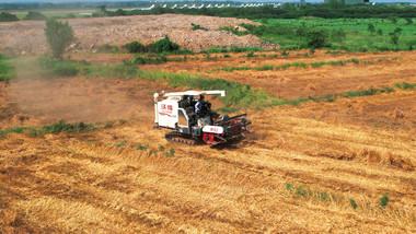 农业农田航拍麦子丰收收割机收麦子4K航拍