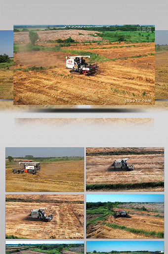 农业农田航拍麦子丰收收割机收麦子4K航拍图片