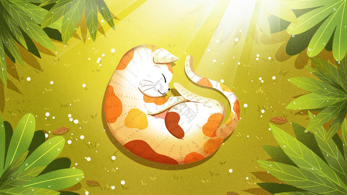 夏天处暑猫咪暖洋洋的睡觉插画图片