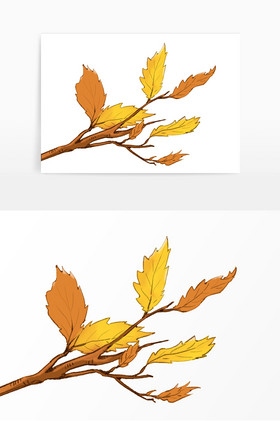 秋分树枝树叶图片