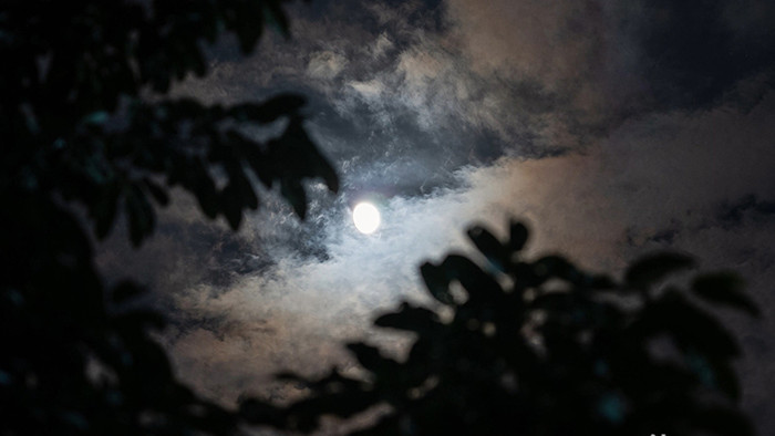 自然简约夜晚天空月亮云层移动变化延时