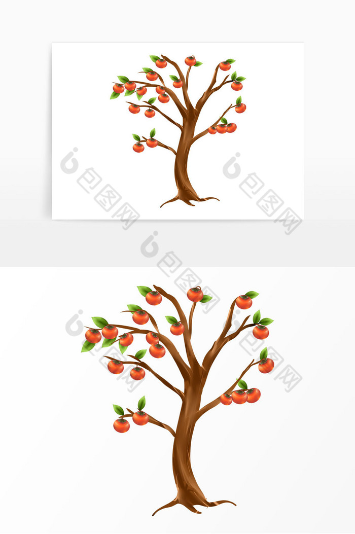 秋分秋季柿子树树木图片图片
