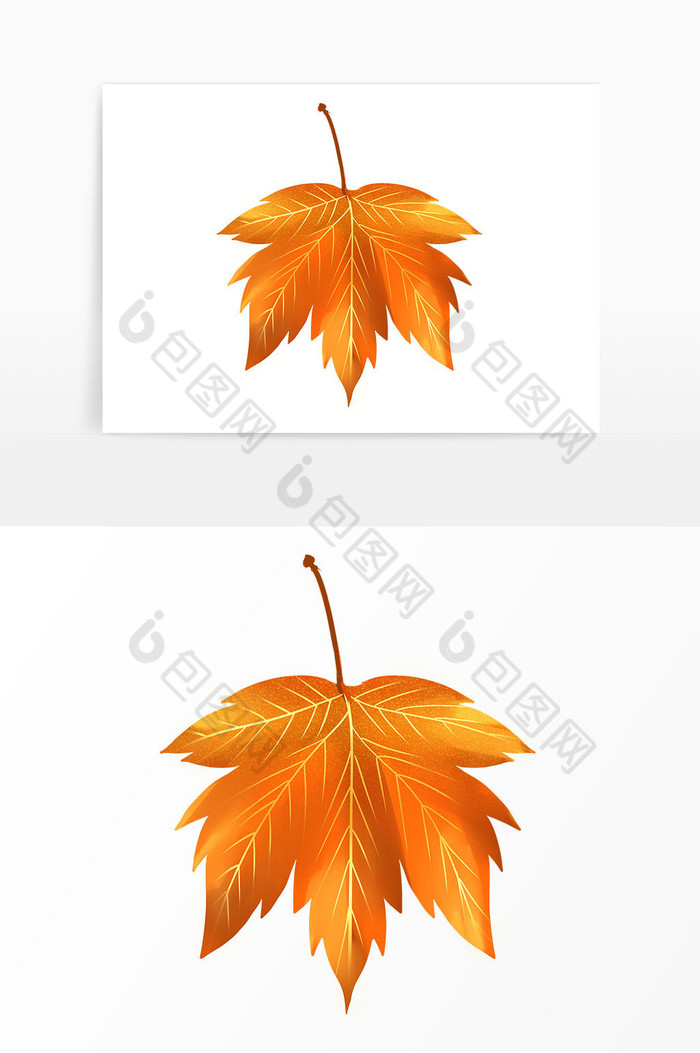 秋季描金枫叶树叶图片图片