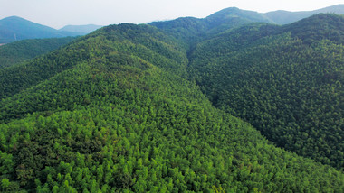 自然风景南京石塘竹海风景区4K航拍