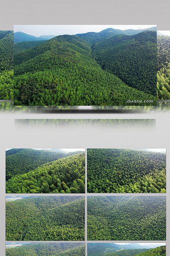 自然风景南京石塘竹海风景区4K航拍图片