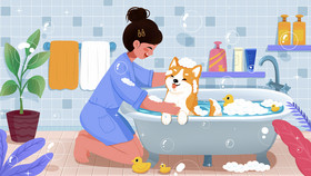 女生给宠物洗澡插画