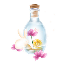 瓶子里的兔子花卉微景观