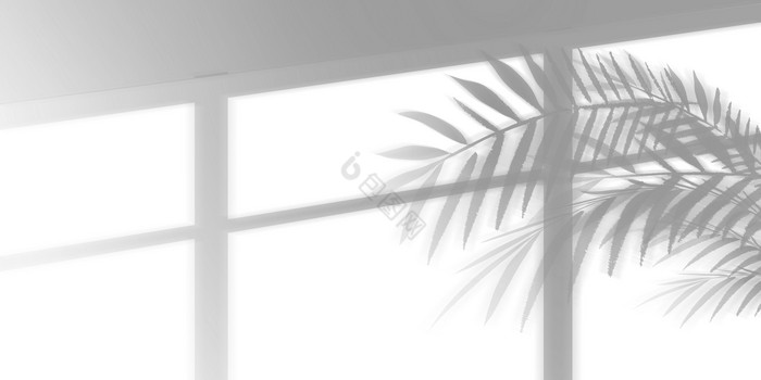 窗户影子投影图片