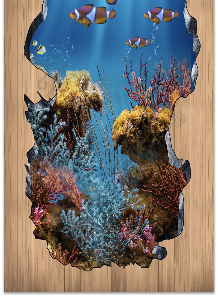 海洋3D立体小丑鱼海底3D木纹地板画