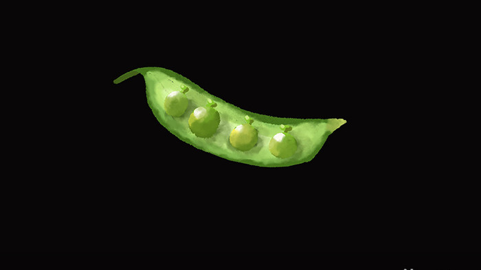 水彩写实美食食物类蔬菜类豌豆mg动画