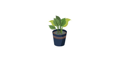 易用卡通类mg动画植物类绿叶片绿植盆栽