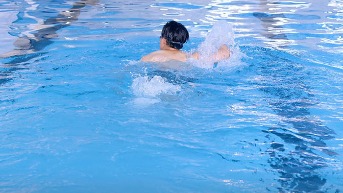 在泳池里游泳的男子背影实拍
