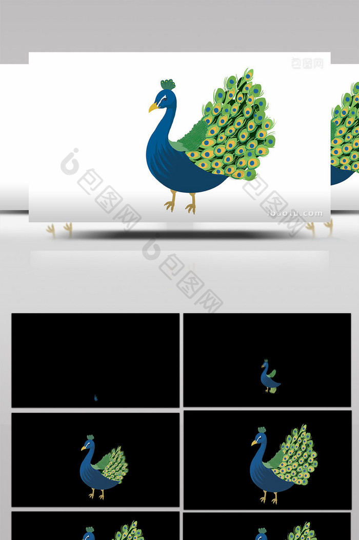 易用写实类mg动画动物类开屏中的孔雀