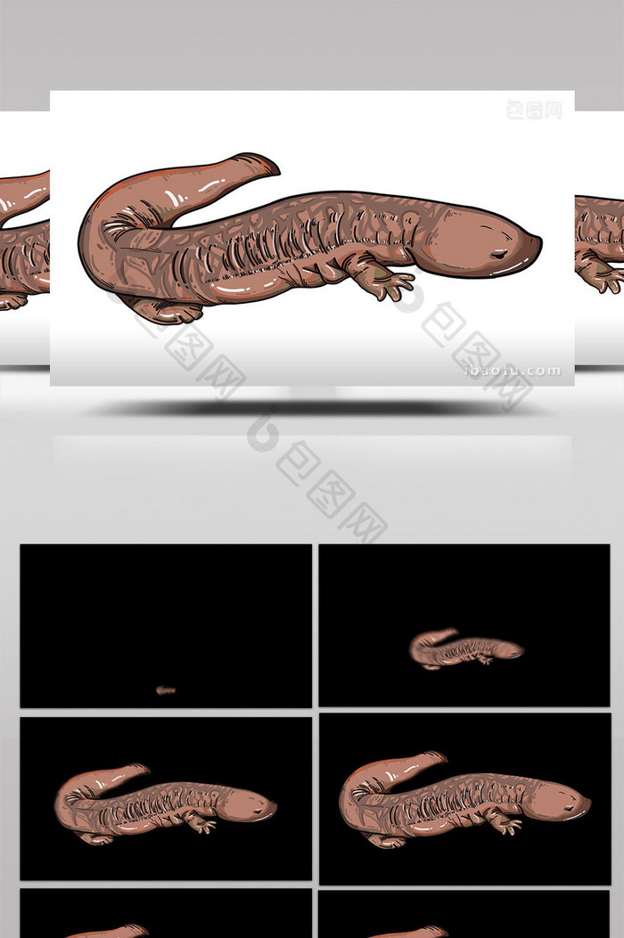 易用写实类mg动画动物类行走的大鲵