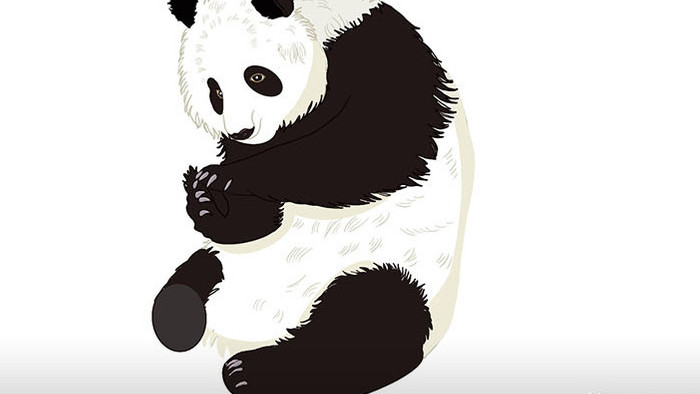 易用写实类mg动画动物类坐着的熊猫