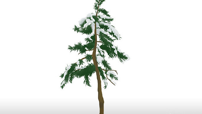 易用写实类mg动画植物类积雪的松树