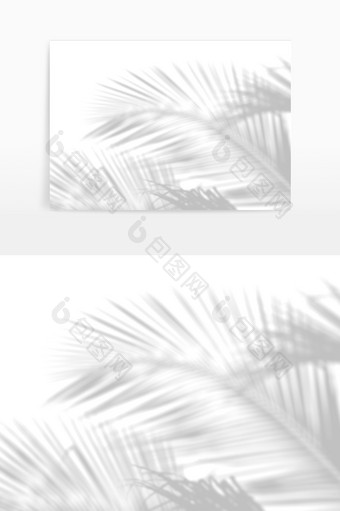 窗外棕榈叶光影浅色元素图片