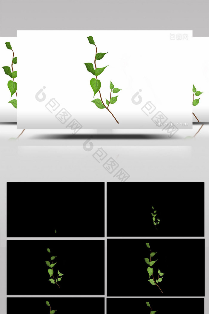 易用写实类mg动画植物类绿色的藤蔓