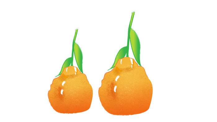 易用卡通类mg动画水果食物类两个丑橘