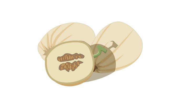 易用卡通类mg动画水果食物类切成两半香瓜