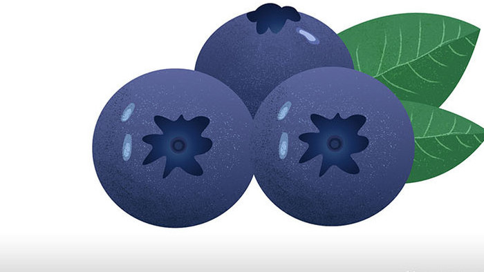 易用卡通类mg动画水果食物类三个小蓝莓