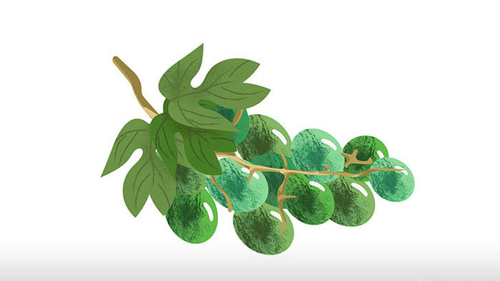 易用卡通类mg动画水果食物类一串绿葡萄