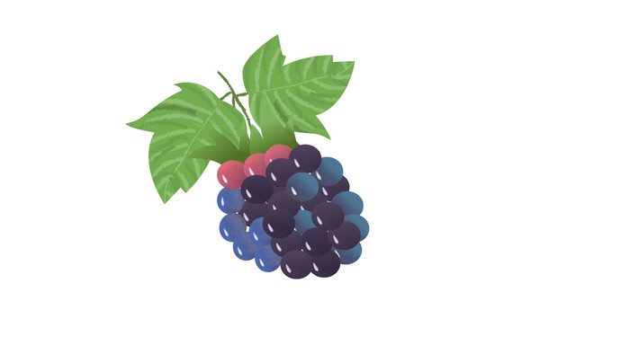 易用卡通类mg动画水果食物类一串桑葚