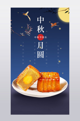 中秋佳节月饼美食特色甜品秋季新品详情页