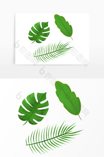 绿色植物热带阔叶仿真元素图片