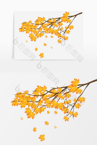 霜降枫叶落叶节气元素图片