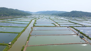 渔业大闸蟹龙虾淡水鱼养殖基地4K航拍