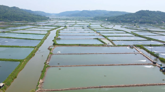 渔业大闸蟹龙虾淡水鱼养殖基地4K航拍