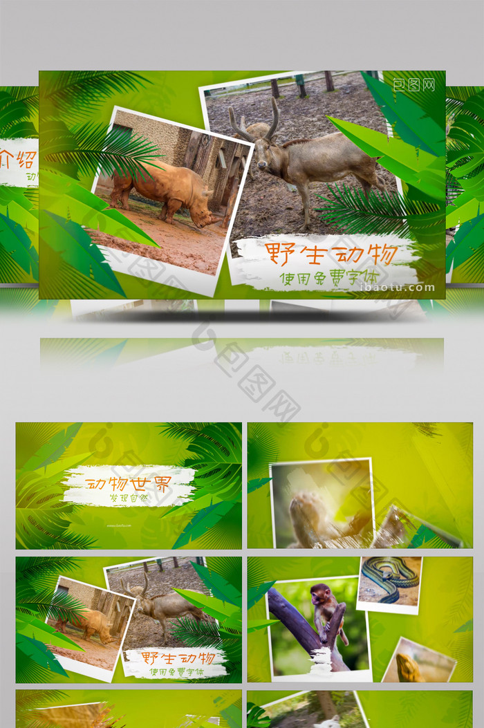 野生动物园介绍推广视频相册动画AE模板