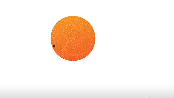 易用写实类mg动画体育用品类橘色的实心球