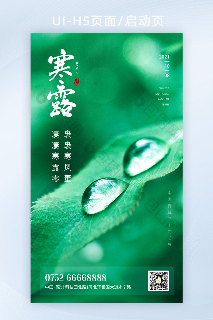 简约绿色露水寒露节气海报设计H5启动页