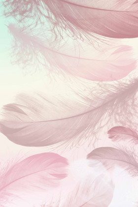 羽毛png海报设计-羽毛png设计图片-包图网