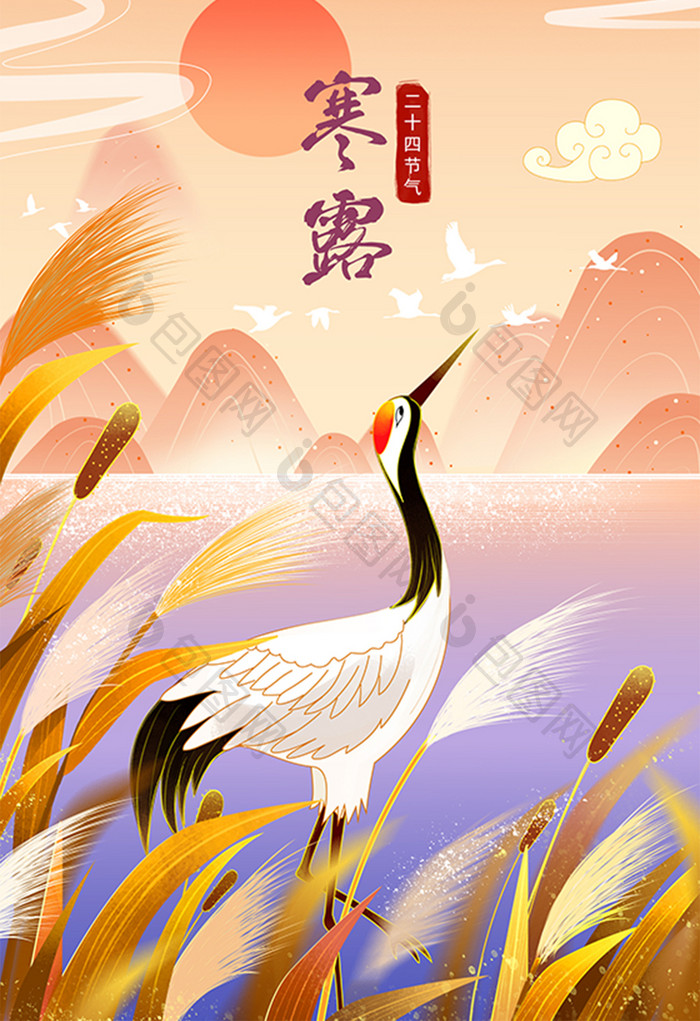 国潮中国风二十四节气寒露仙鹤芦苇候鸟插画