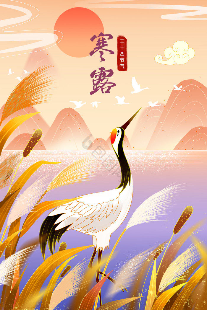 二十四节气寒露仙鹤芦苇候鸟插画图片
