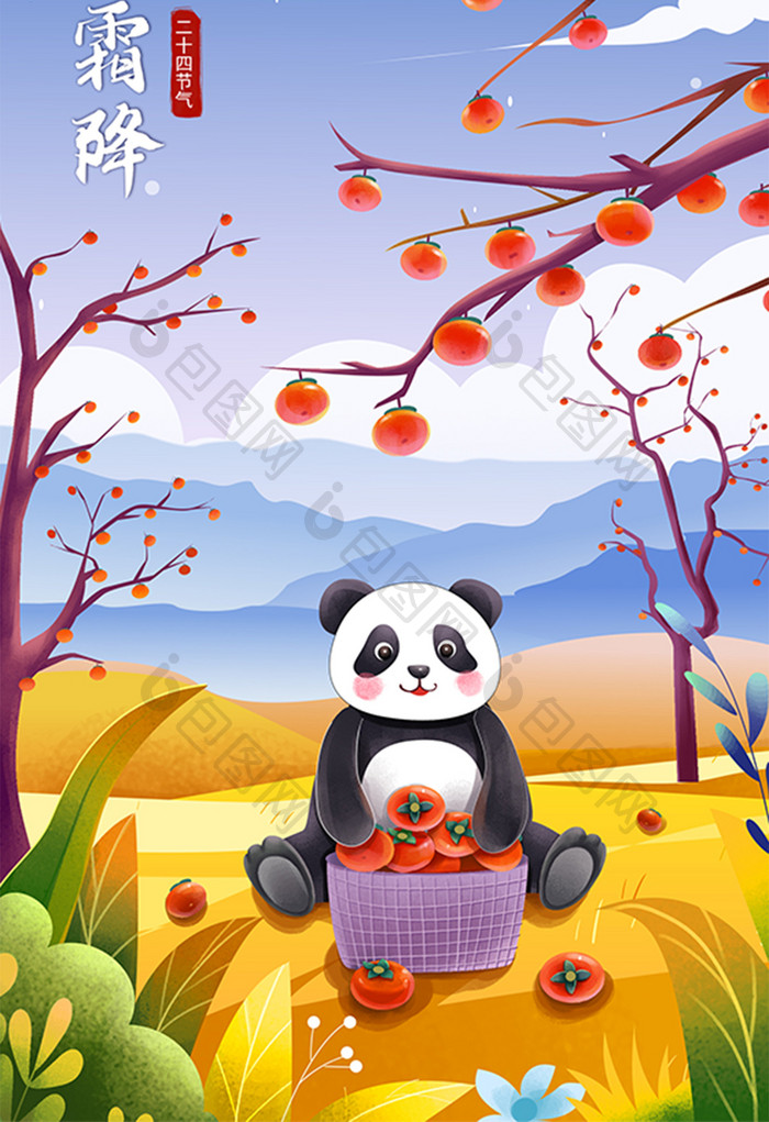 二十四节气霜降可爱大熊猫采摘柿子插画