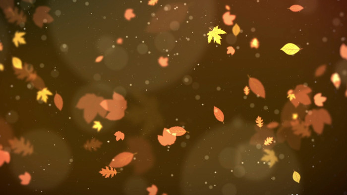 粒子光斑唯美秋叶飘落无缝循环背景视频素材