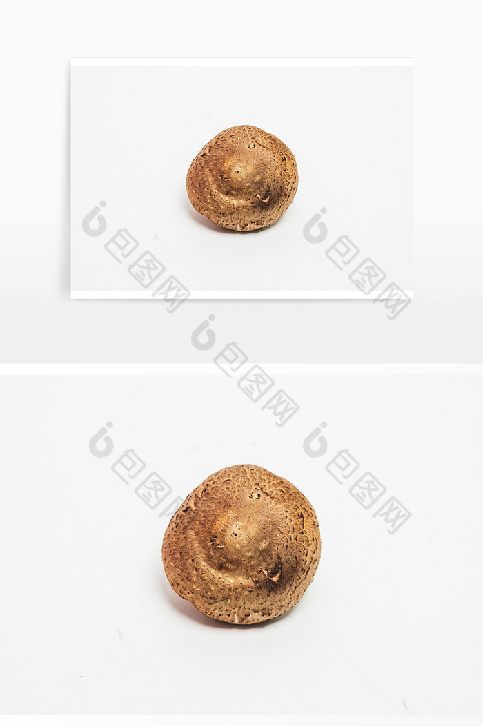 香菇食材食物实物图片图片