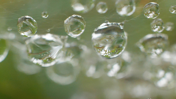 温暖大自然雨后水珠里的世界倒影实拍视频