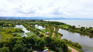 云南王宫湿地公园滇池风景4K航拍