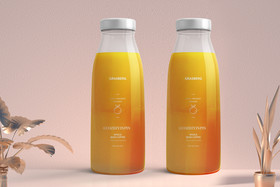 品牌设计VI手册应用果汁饮品瓶包装样机