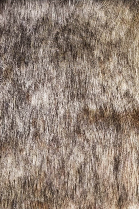 动物毛皮毛茸茸狼毛纹理图片